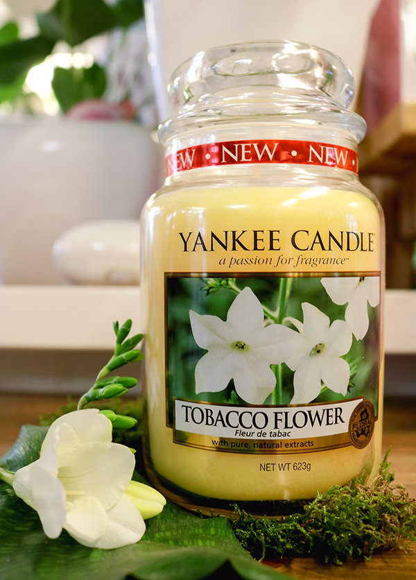 Yankee Candle "Tobacco Flower" im großen Glas