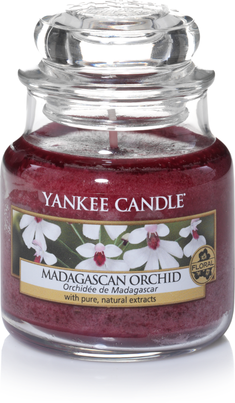 Yankee Candle "Madagascan Orchid" im kleinen Glas