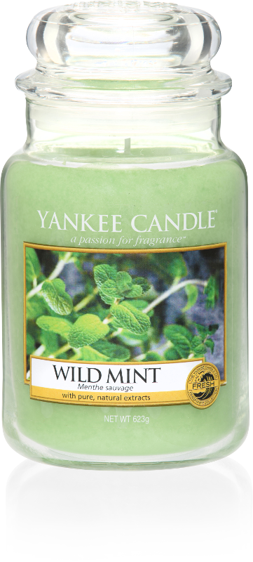 Yankee Candle "Wild Mint" im großen Glas