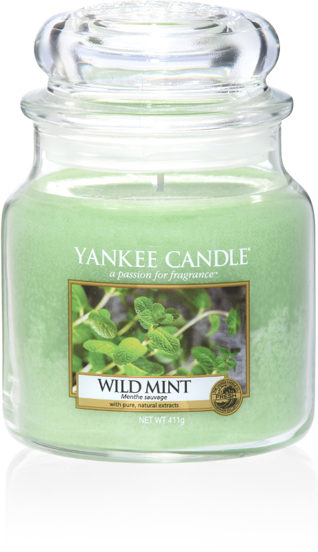 Yankee Candle "Wild Mint" im mittleren Glas