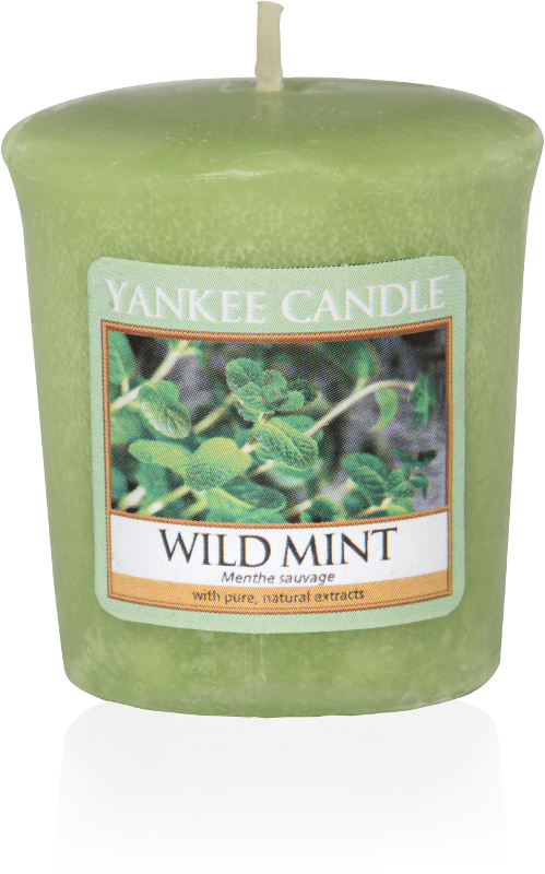 Yankee Candle "Wild Mint" Sampler® Votivkerze
