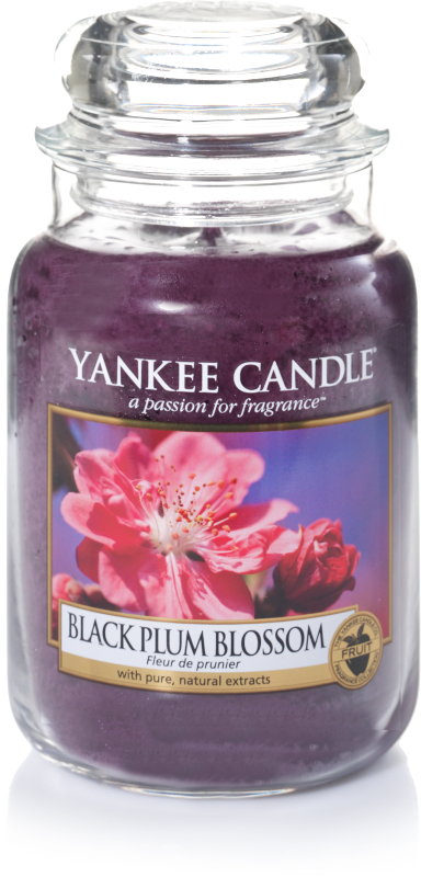 Yankee Candle "Black Plum Blossom" im großen Glas