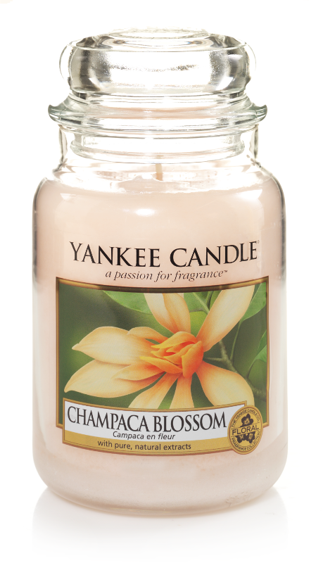 Yankee Candle "Champaca Blossom" im großen Glas